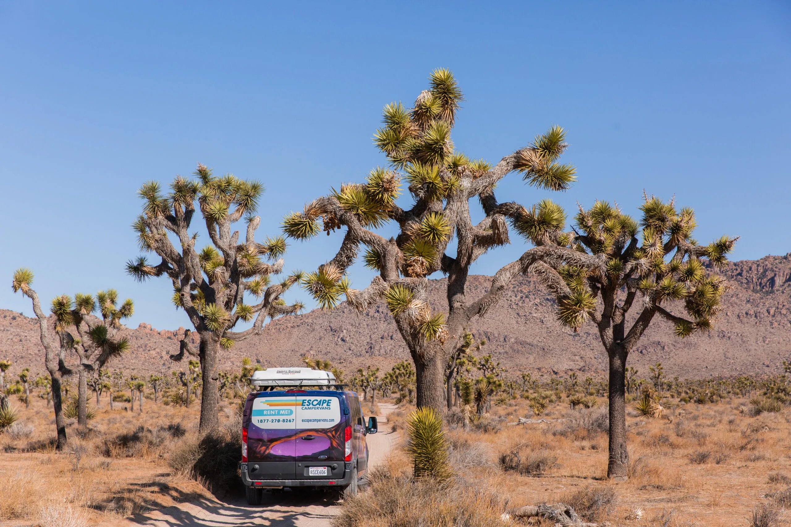 Escape Campervans van parked at a scenic overlook